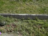 image of grave number 340618